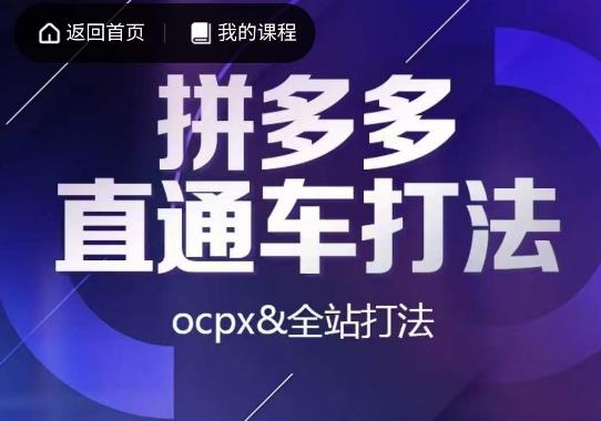 互力·拼多多直通车打法，ocpx&全站打法_泡桐学堂