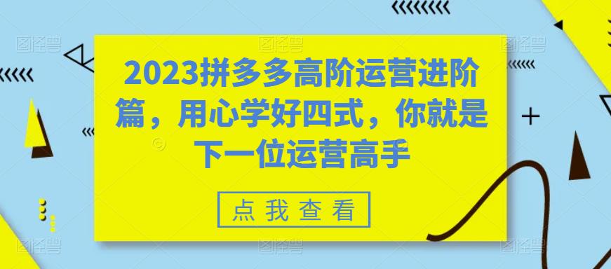 2023拼多多高阶运营进阶篇，用心学好四式，你就是下一位运营高手_泡桐学堂