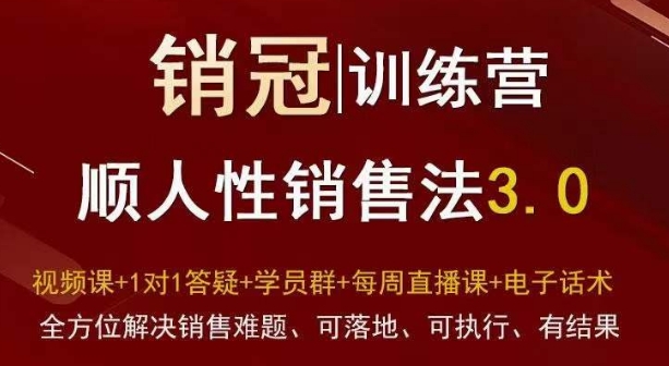 爆款！销冠训练营3.0之顺人性销售法，全方位解决销售难题、可落地、可执行、有结果_泡桐学堂