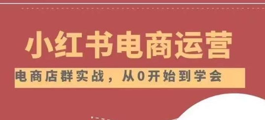 小红书店铺运营从小白到大神2.0，从入门到精通_泡桐学堂
