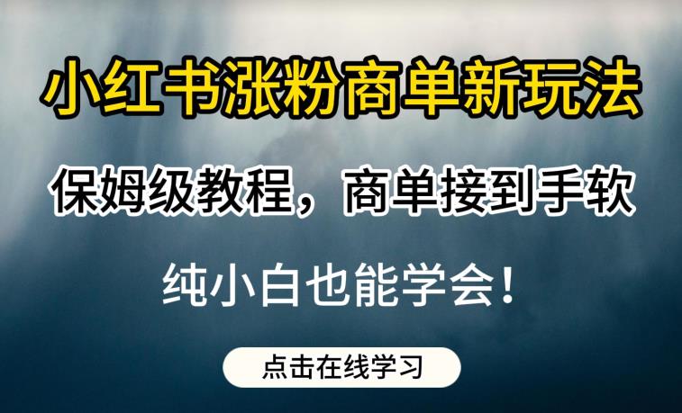 小红书涨粉商单新玩法，保姆级教程，商单接到手软，纯小白也能学会【揭秘】_泡桐学堂