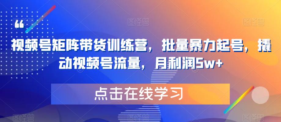 视频号矩阵带货训练营，批量暴力起号，撬动视频号流量，月利润5w+_泡桐学堂