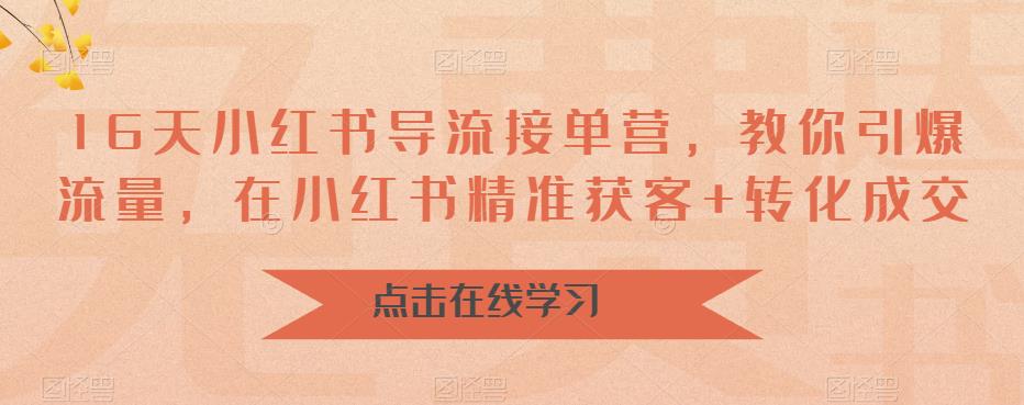 16天小红书导流接单营，教你引爆流量，在小红书精准获客+转化成交_泡桐学堂