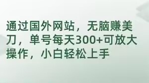 通过国外网站，无脑赚美刀，单号每天300+可放大操作，小白轻松上手【揭秘】_泡桐学堂