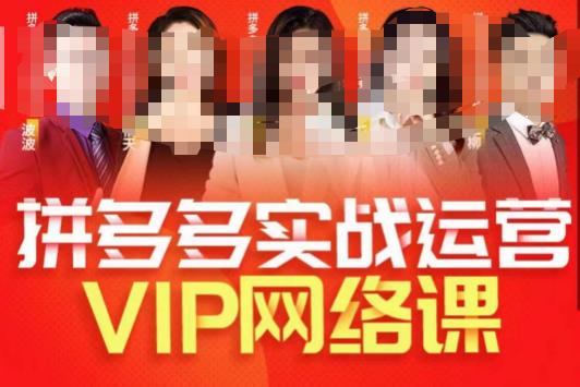 推易拼多多VIP全套直播课程，拼多多店铺实操玩法+实战玩法选款内功+直通车高阶等_泡桐学堂