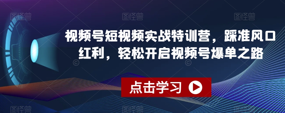 视频号短视频实战特训营，踩准风口红利，轻松开启视频号爆单之路_泡桐学堂