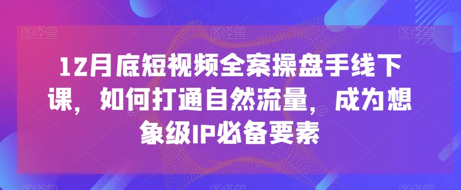 12月底短视频全案操盘手线下课，如何打通自然流量，成为想象级IP必备要素_泡桐学堂