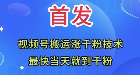 全网首发：视频号无脑搬运涨千粉技术，最快当天到千粉【揭秘】_泡桐学堂