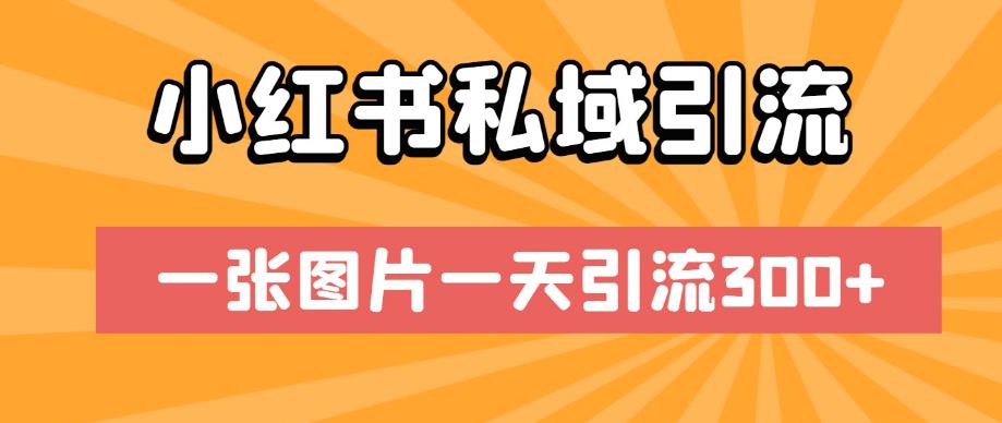 小红书私域引流，一张图片一天引流300+【揭秘】_泡桐学堂