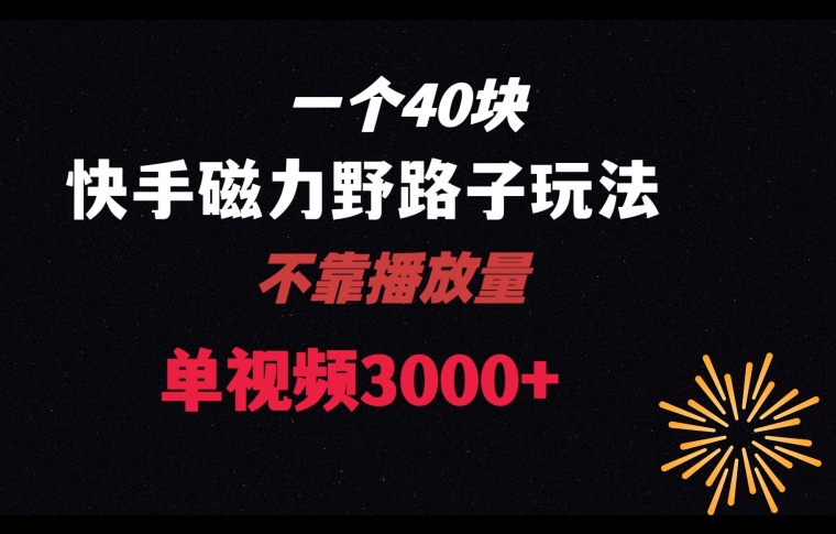 一个40块，快手联合美团磁力新玩法，无视机制野路子玩法，单视频收益4位数【揭秘】_泡桐学堂