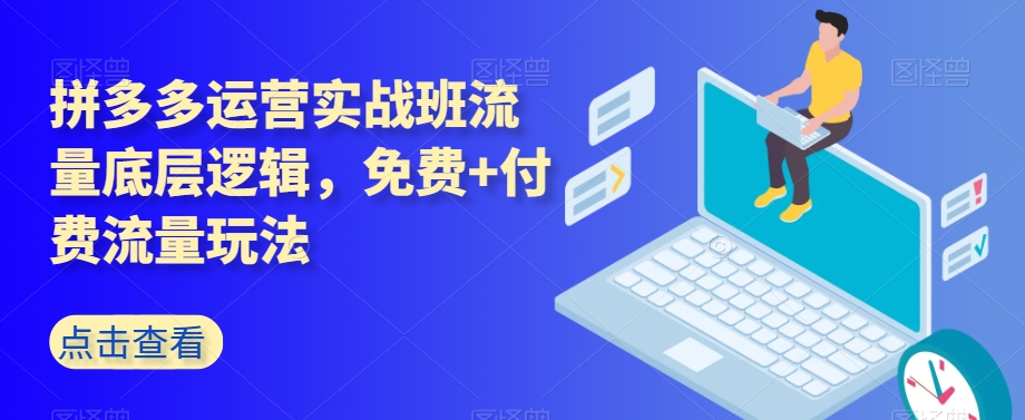 拼多多运营实战班流量底层逻辑，免费+付费流量玩法_泡桐学堂