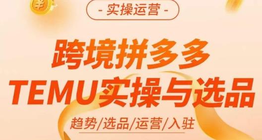 伍跃·跨境拼多多TEMU实操与选品，​趋势/选品/运营/入住（27节完整）_泡桐学堂