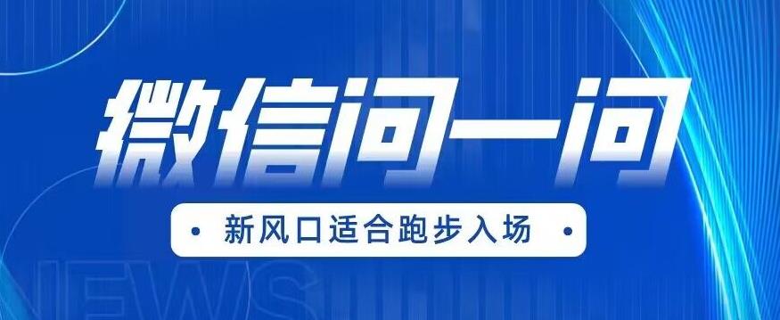 全网首发微信问一问新风口变现项目（价值1999元）【揭秘】_泡桐学堂