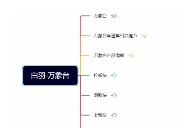 白羽·直引万搜索全篇，从0-1，多个类目实操经验总结付费_泡桐学堂