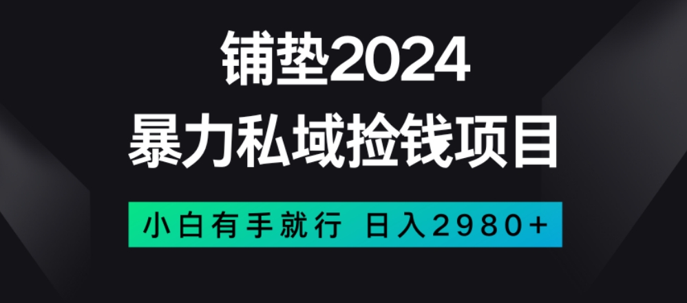 暴力私域捡钱项目，小白无脑操作，日入2980【揭秘】_泡桐学堂