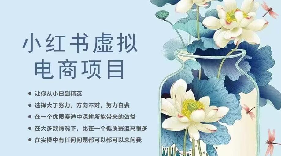 小红书虚拟电商从0到1，让你从小白到精英（20节实操课程）_泡桐学堂