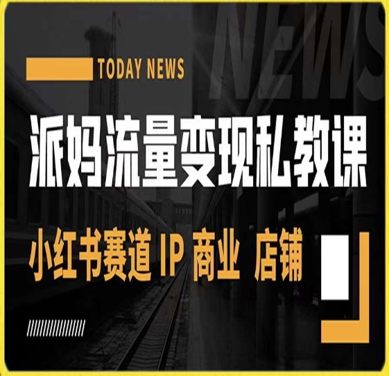 派妈流量变现私教课，小红书赛道IP  商业  店铺 _泡桐学堂