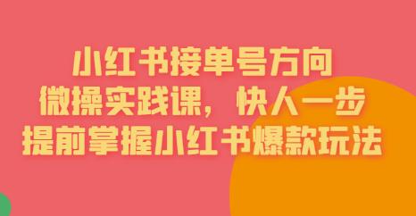 接单号方向·小红书微操实践课，快人一步，提前掌握小红书爆款玩法_泡桐学堂