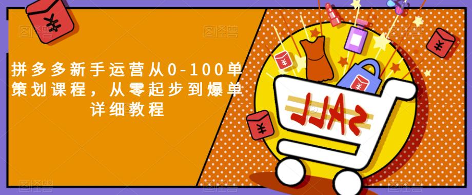 拼多多新手运营从0-100单策划课程，从零起步到爆单详细教程_泡桐学堂