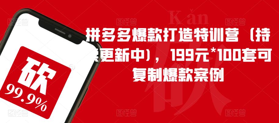 拼多多爆款打造特训营（持续更新中)，199元*100套可复制爆款案例_泡桐学堂