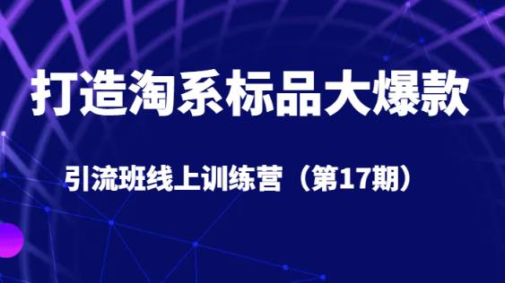 打造淘系标品大爆款引流班线上训练营（第17期）5天直播授课_泡桐学堂