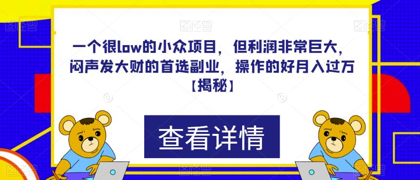 一个很low的小众项目，但利润非常巨大，闷声发大财的首选副业，操作的好月入过万【揭秘】_泡桐学堂