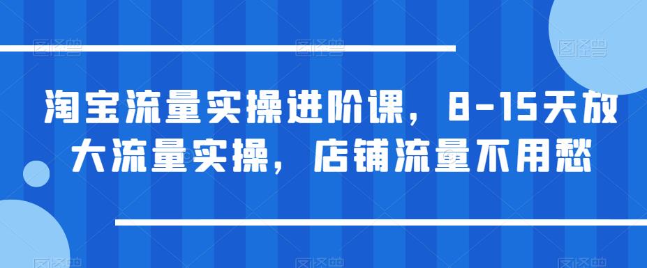 淘宝流量实操进阶课，8-15天放大流量实操，店铺流量不用愁_泡桐学堂