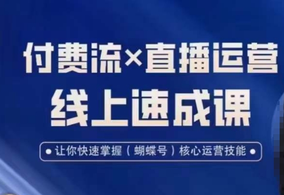 视频号付费流实操课程，付费流✖️直播运营速成课，让你快速掌握视频号核心运营技能_泡桐学堂