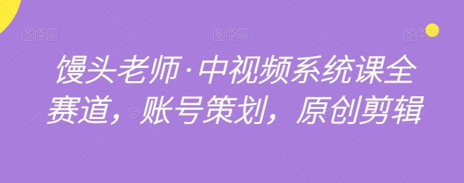 馒头老师·中视频系统课全赛道，账号策划，原创剪辑_泡桐学堂
