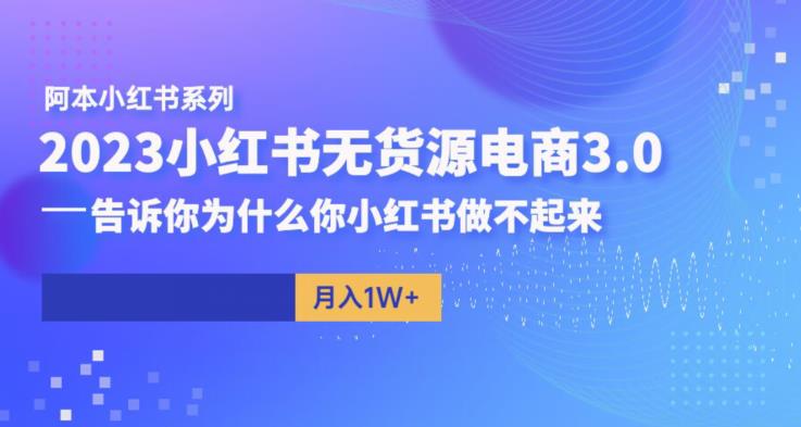 阿本小红书无货源电商3.0，告诉你为什么你小红书做不起来_泡桐学堂