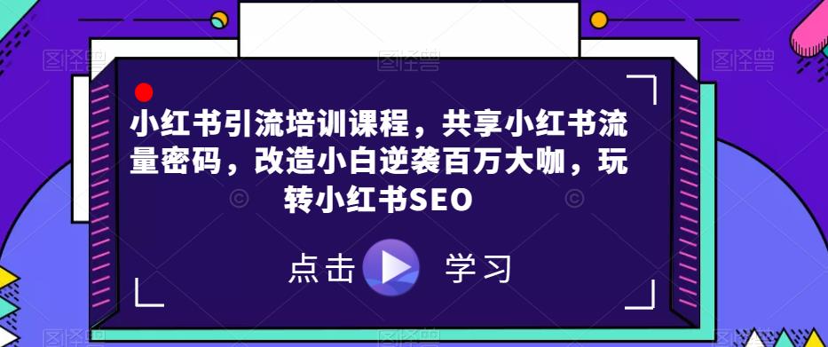 小红书引流培训课程，共享小红书流量密码，改造小白逆袭百万大咖，玩转小红书SEO_泡桐学堂
