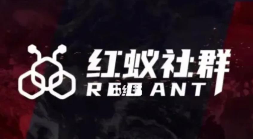 社群运营：红蚁社群【48节落地系统课程+2000人高端社群】_泡桐学堂