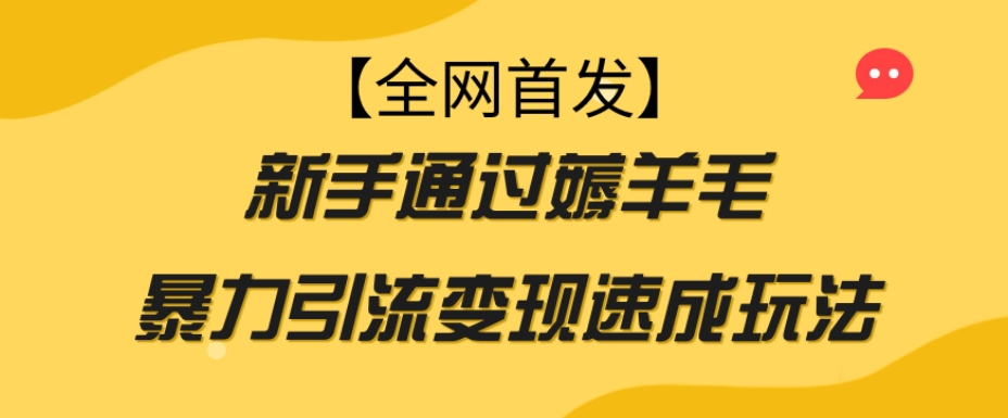 【全网首发】新手通过薅羊毛暴力引流变现速成玩法_泡桐学堂