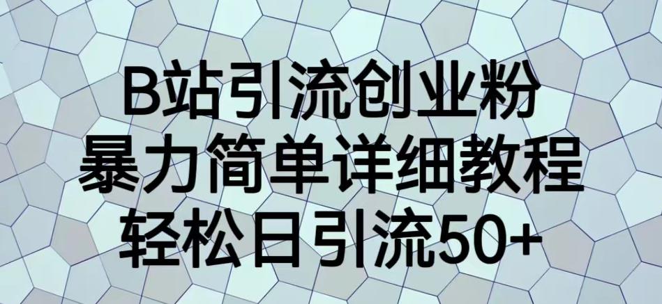 B站引流创业粉，暴力简单详细教程，轻松日引流50+【揭秘】_泡桐学堂