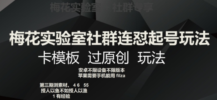 梅花实验室社群连怼起号玩法，卡模板过原创玩法【揭秘】_泡桐学堂