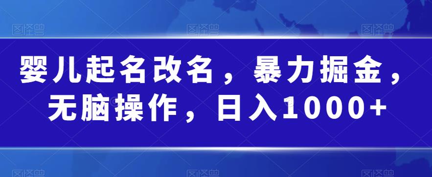 婴儿起名改名，暴力掘金，无脑操作，日入1000+【揭秘】_泡桐学堂