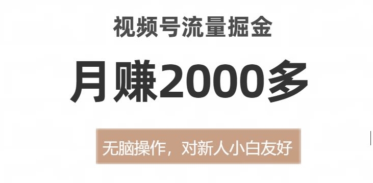 视频号流量掘金，无脑操作，对新人小白友好，月赚2000多【揭秘】_泡桐学堂