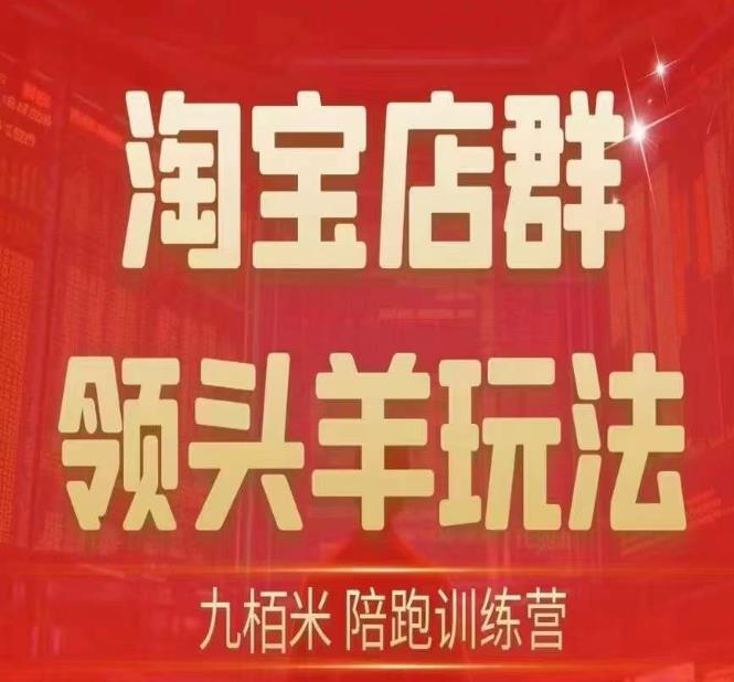 九栢米-淘宝店群领头羊玩法，教你整个淘宝店群领头羊玩法以及精细化/终极蓝海/尾销等内容_泡桐学堂