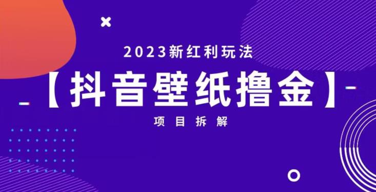 抖音壁纸小程序创作者撸金项目，2023新红利玩法【项目拆解】_泡桐学堂