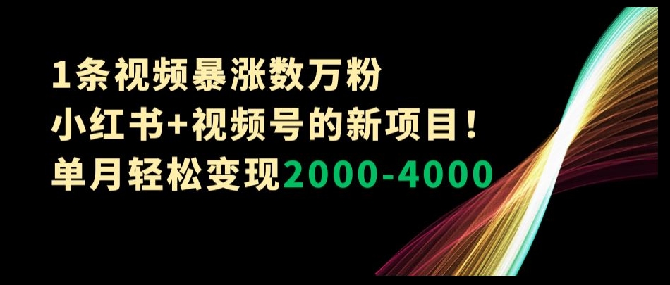 1条视频暴涨数万粉–小红书+视频号的新项目！单月轻松变现2000-4000【揭秘】_泡桐学堂