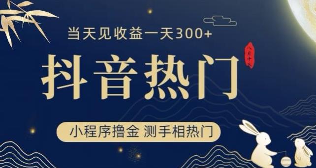 抖音最新小程序撸金，测手相上热门，当天见收益一小时变现300+【揭秘】_泡桐学堂