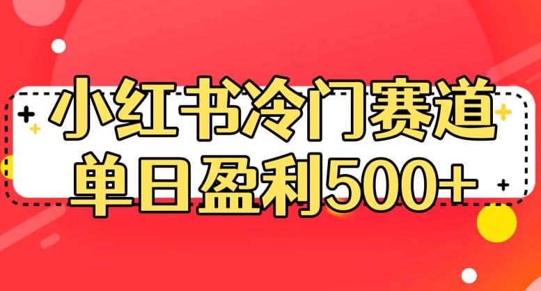 小红书冷门赛道，单日盈利500+【揭秘】_泡桐学堂
