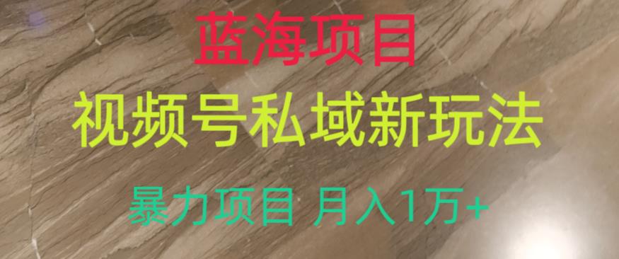 蓝海项目，视频号私域新玩法，暴力项目月入1万+【揭秘】_泡桐学堂