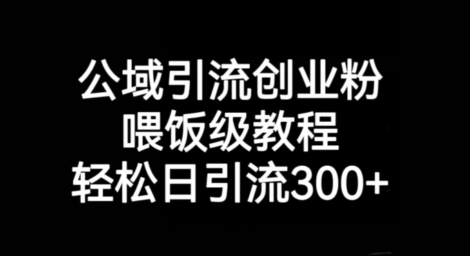 公域引流创业粉，喂饭级教程，轻松日引流300+【揭秘】_泡桐学堂