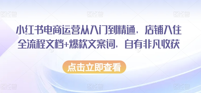 小红书电商运营从入门到精通，店铺入住全流程文档+爆款文案词，自有非凡收获_泡桐学堂
