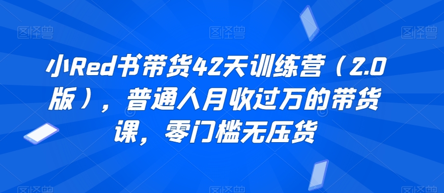 小Red书带货42天训练营（2.0版），普通人月收过万的带货课，零门槛无压货_泡桐学堂