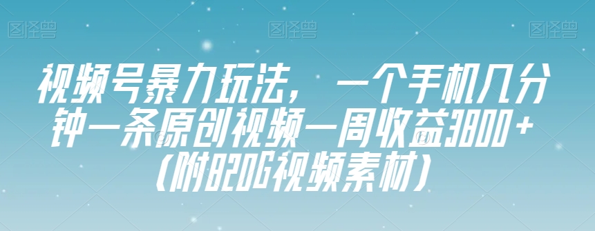 视频号暴力玩法，一个手机几分钟一条原创视频一周收益3800+（附820G视频素材）_泡桐学堂