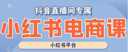 小红书电商高级运营课程，实操教学+案例分析_泡桐学堂