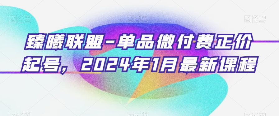 臻曦联盟-单品微付费正价起号，2024年1月最新课程_泡桐学堂