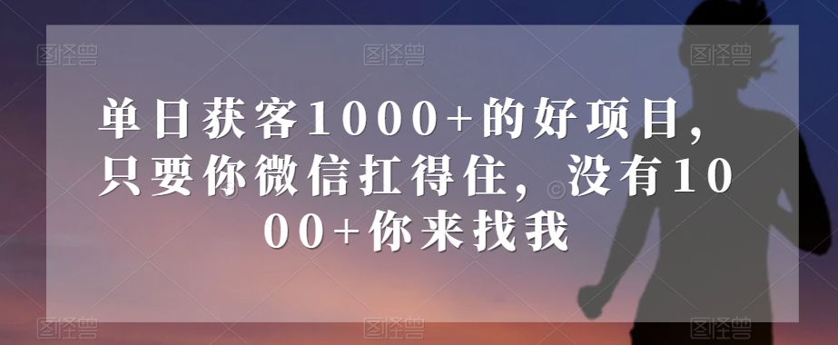单日获客1000+的好项目，只要你微信扛得住，没有1000+你来找我【揭秘】_泡桐学堂